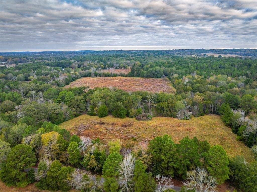 29.73 acres in Anderson County - photo 2