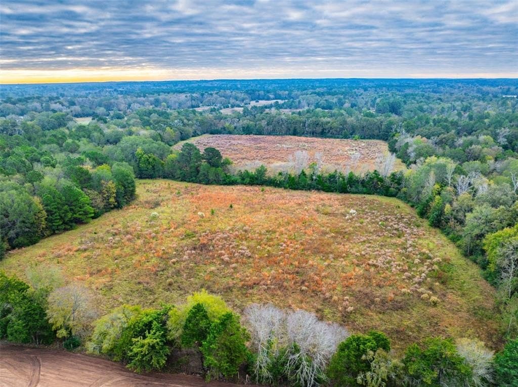 29.73 acres in Anderson County - photo 16