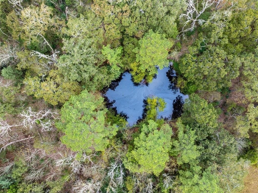 29.73 acres in Anderson County - photo 8