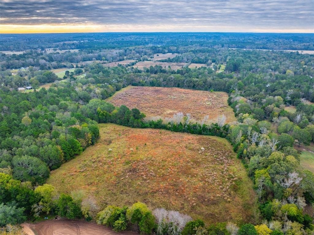 29.73 acres in Anderson County - photo 11