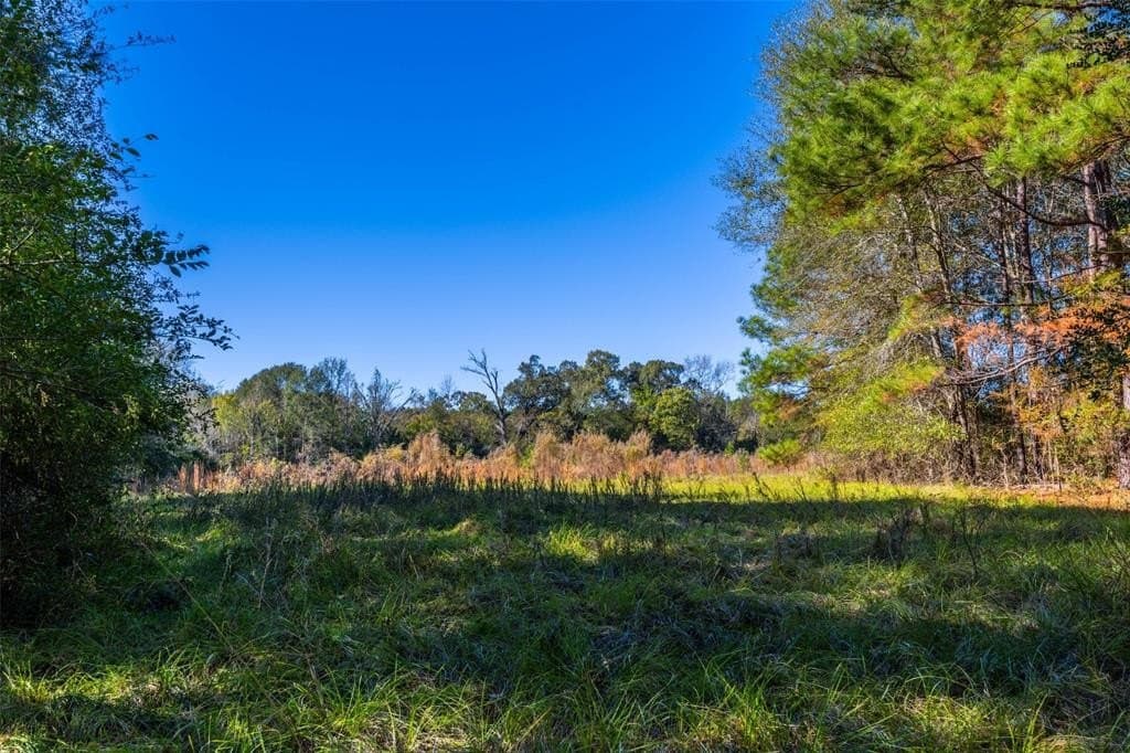 29.73 acres in Anderson County - photo 5