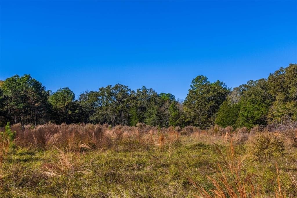 29.73 acres in Anderson County - photo 22