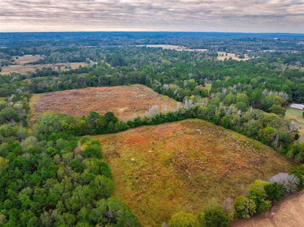 29.73 acres in Anderson County - photo 17