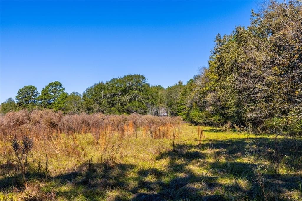 29.73 acres in Anderson County - photo 23