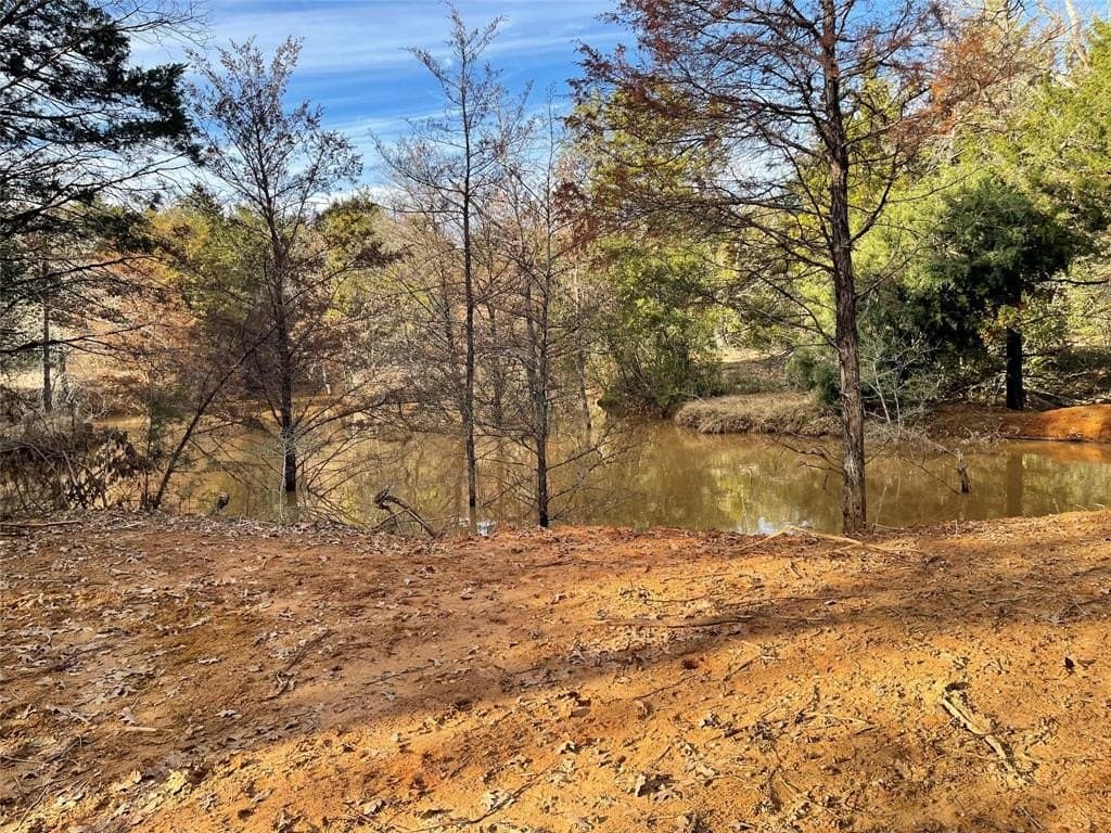 50 acres in Freestone County - photo 30