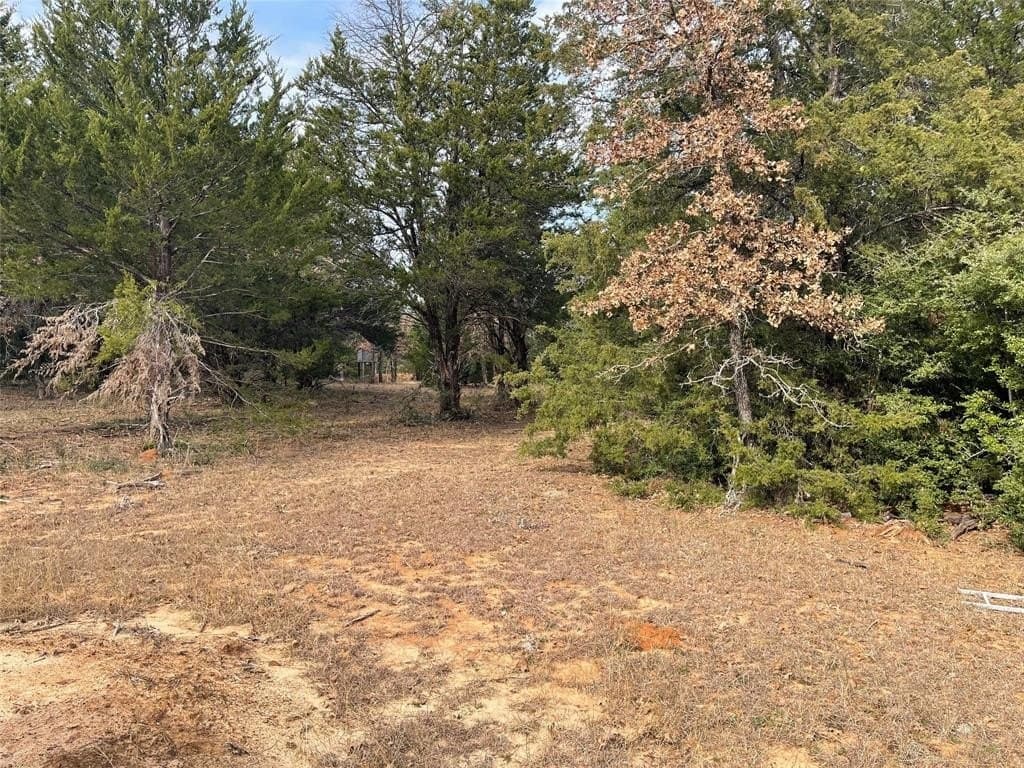 50 acres in Freestone County - photo 23