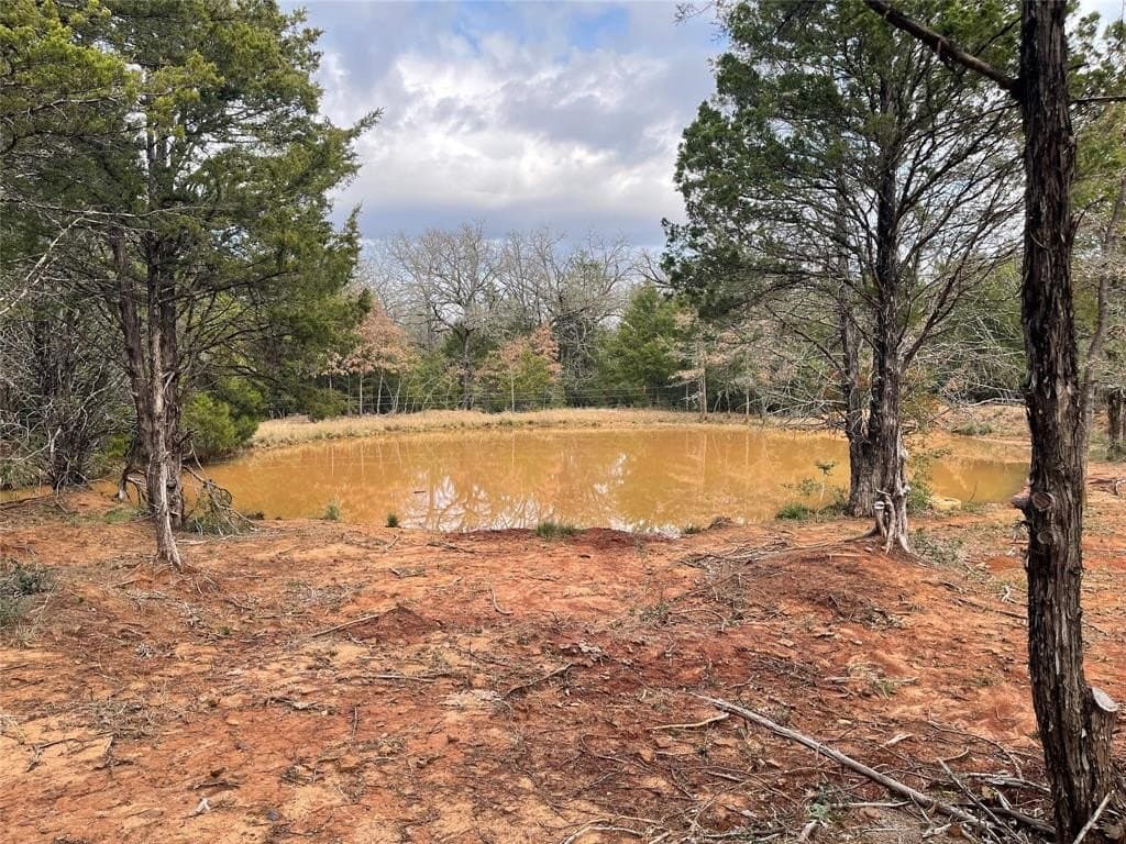 50 acres in Freestone County - photo 12