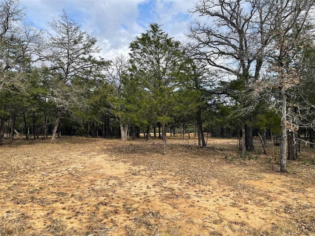 50 acres in Freestone County - photo 21