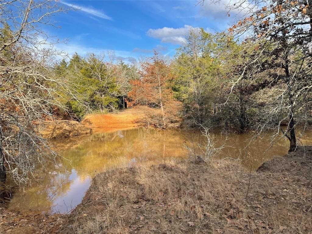 50 acres in Freestone County - photo 25