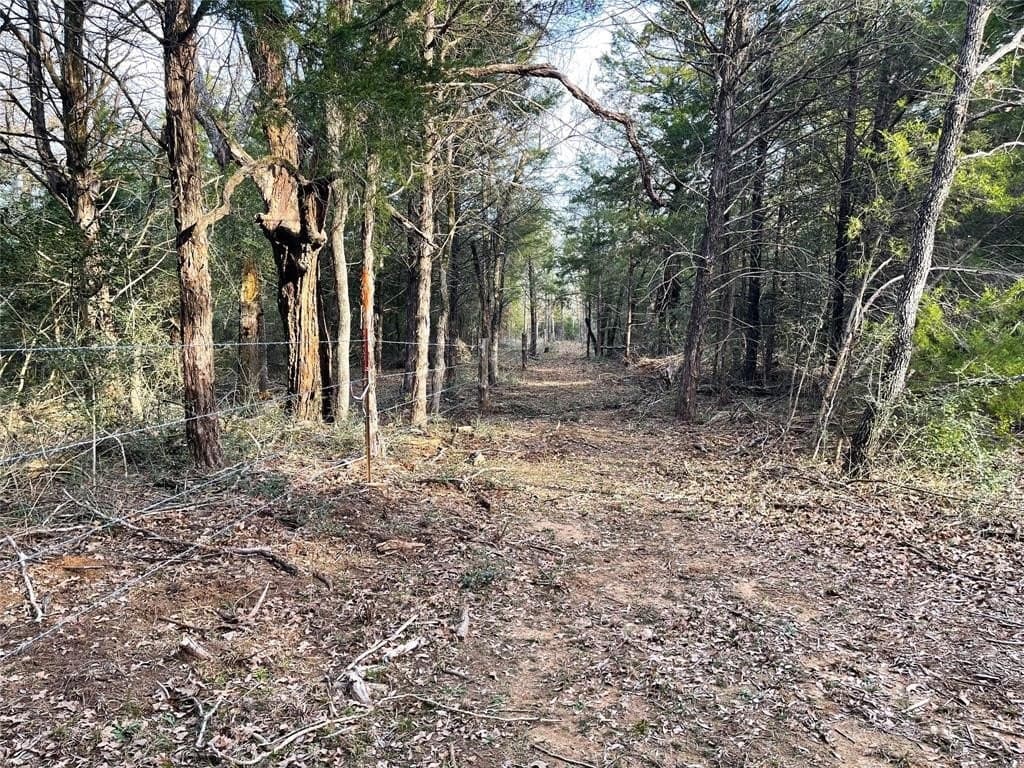 50 acres in Freestone County - photo 35
