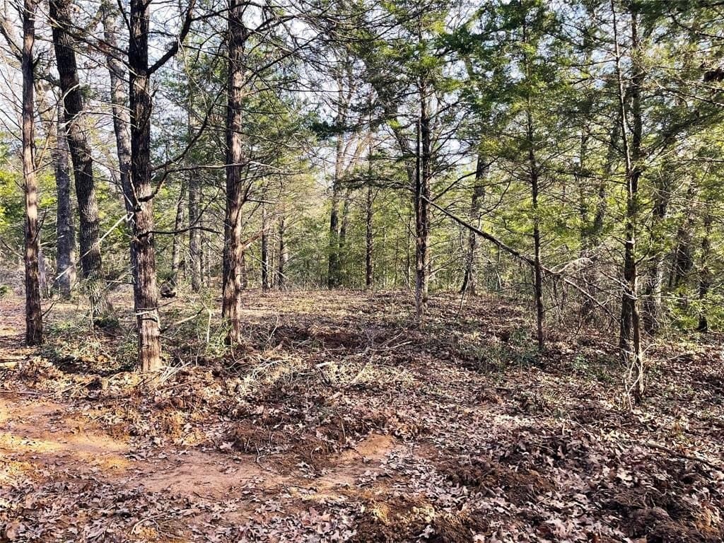 50 acres in Freestone County - photo 29