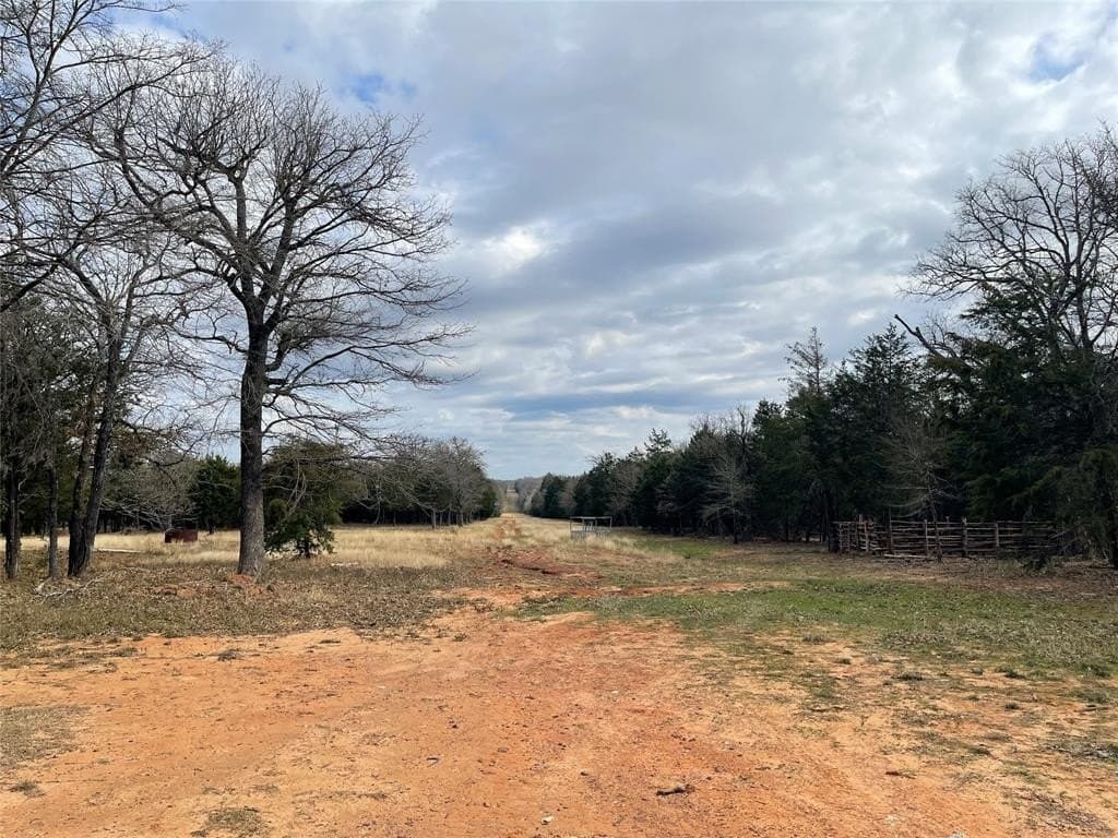 50 acres in Freestone County - photo 17