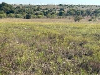 2.75 acres in Parker County - photo 6