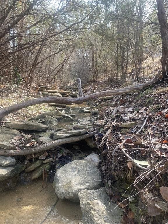 0.34 acres in Hood County - photo 6