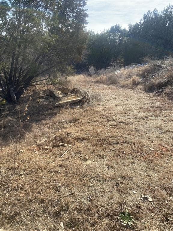 0.34 acres in Hood County - photo 3