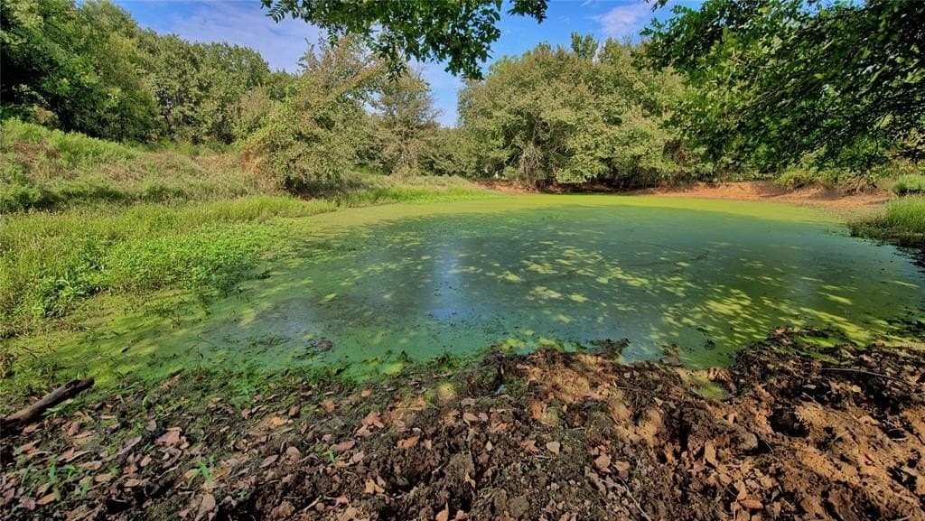 20 acres in Montague County - photo 13