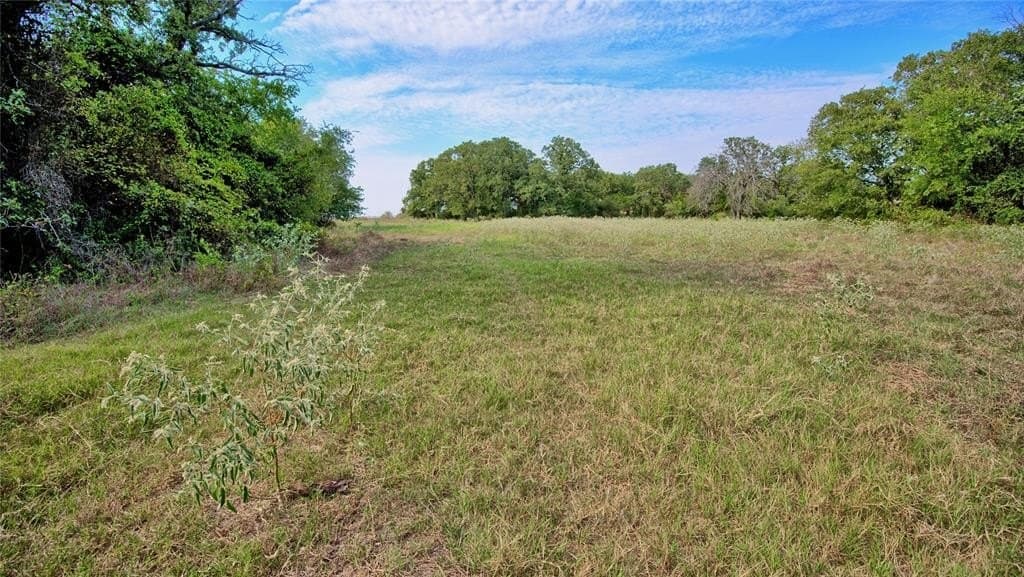 20 acres in Montague County - photo 36