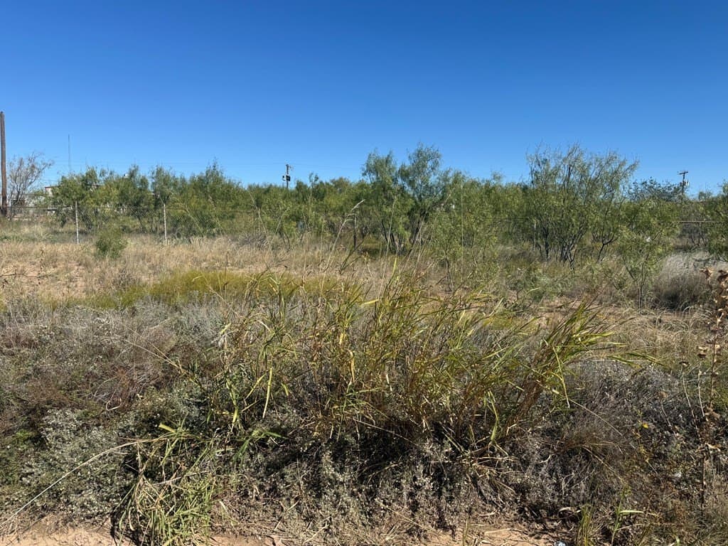 0.97 acres in Scurry County - photo 2