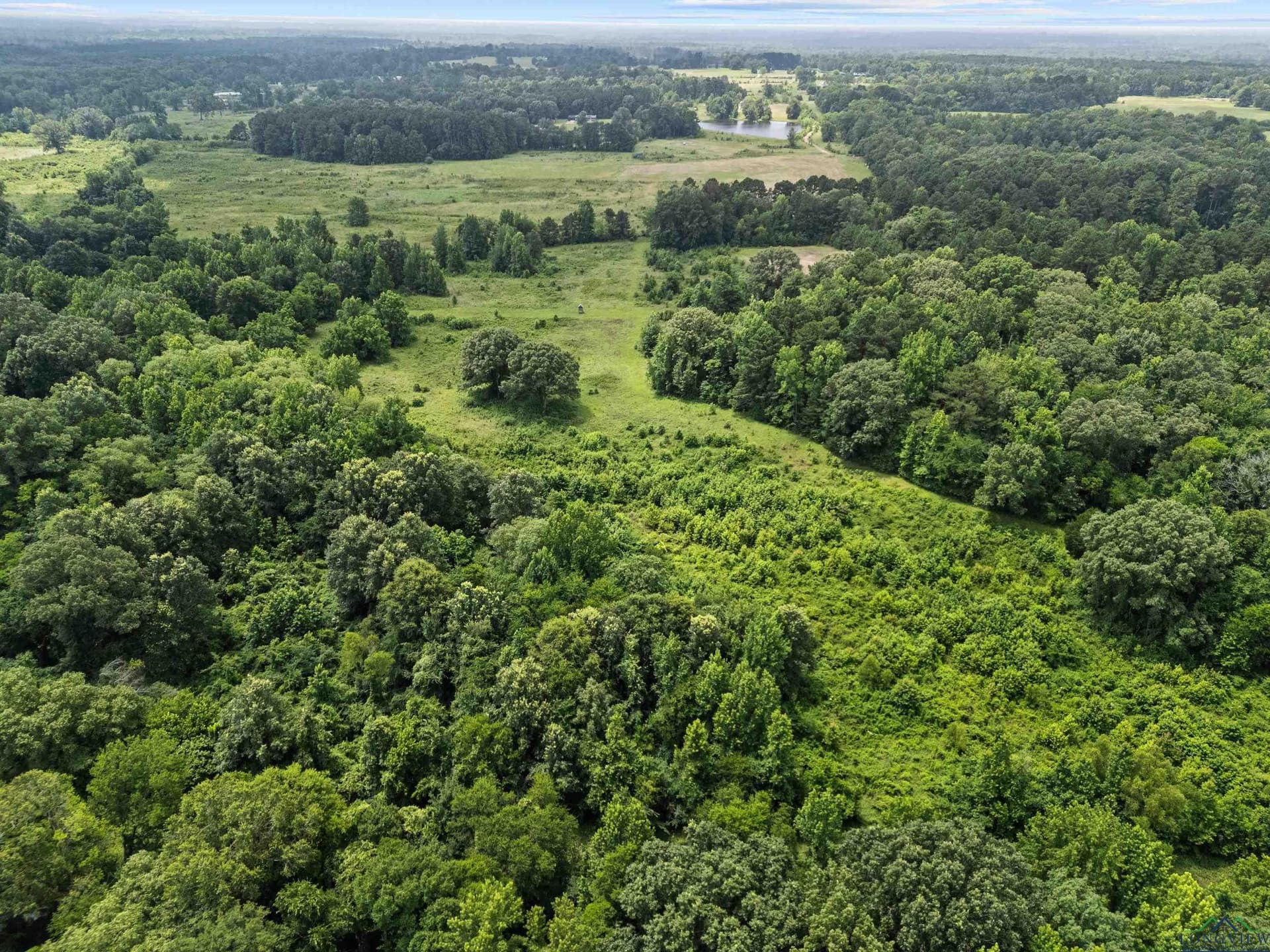450 acres in Texas County - photo 6