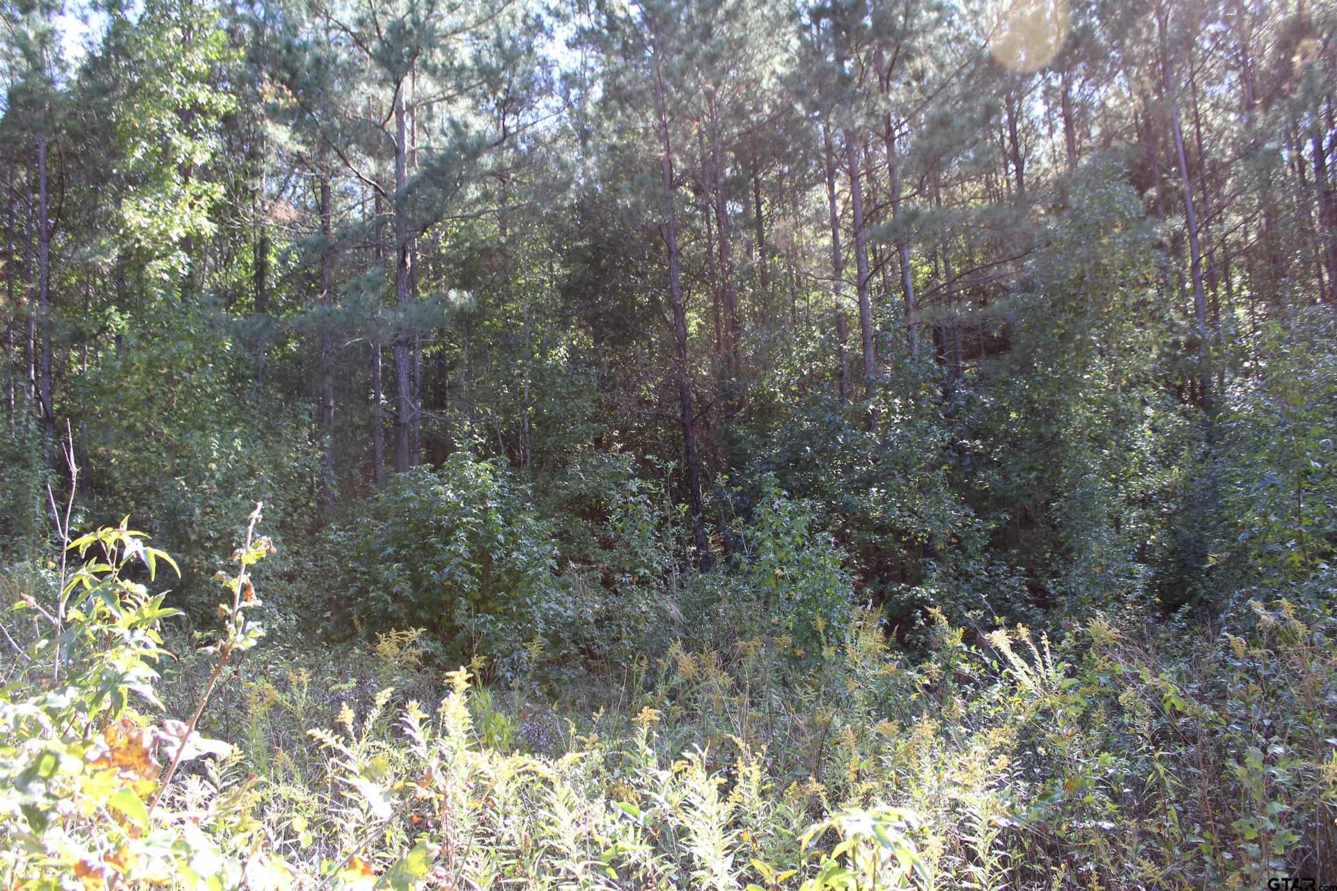 37.4 acres in Cherokee County - photo 10