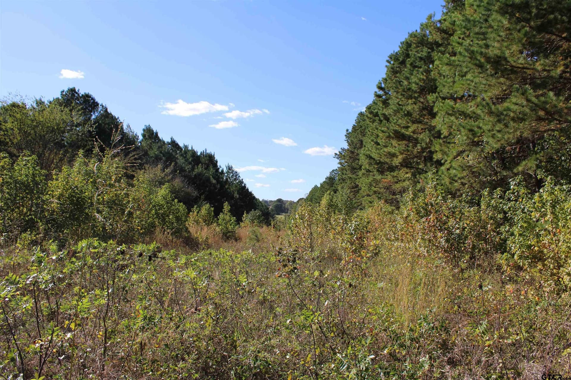 37.4 acres in Cherokee County - photo 18