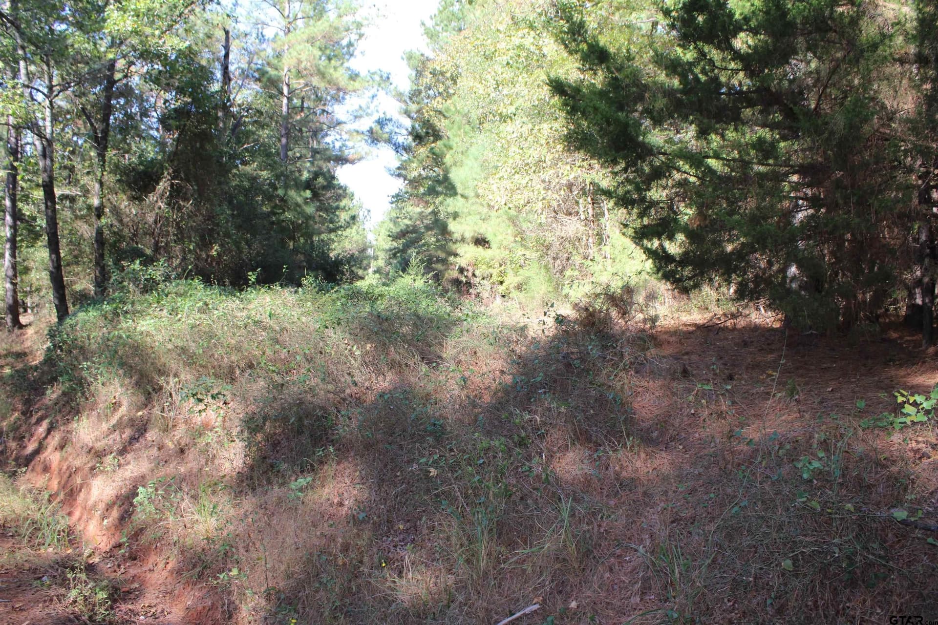 37.4 acres in Cherokee County - photo 16