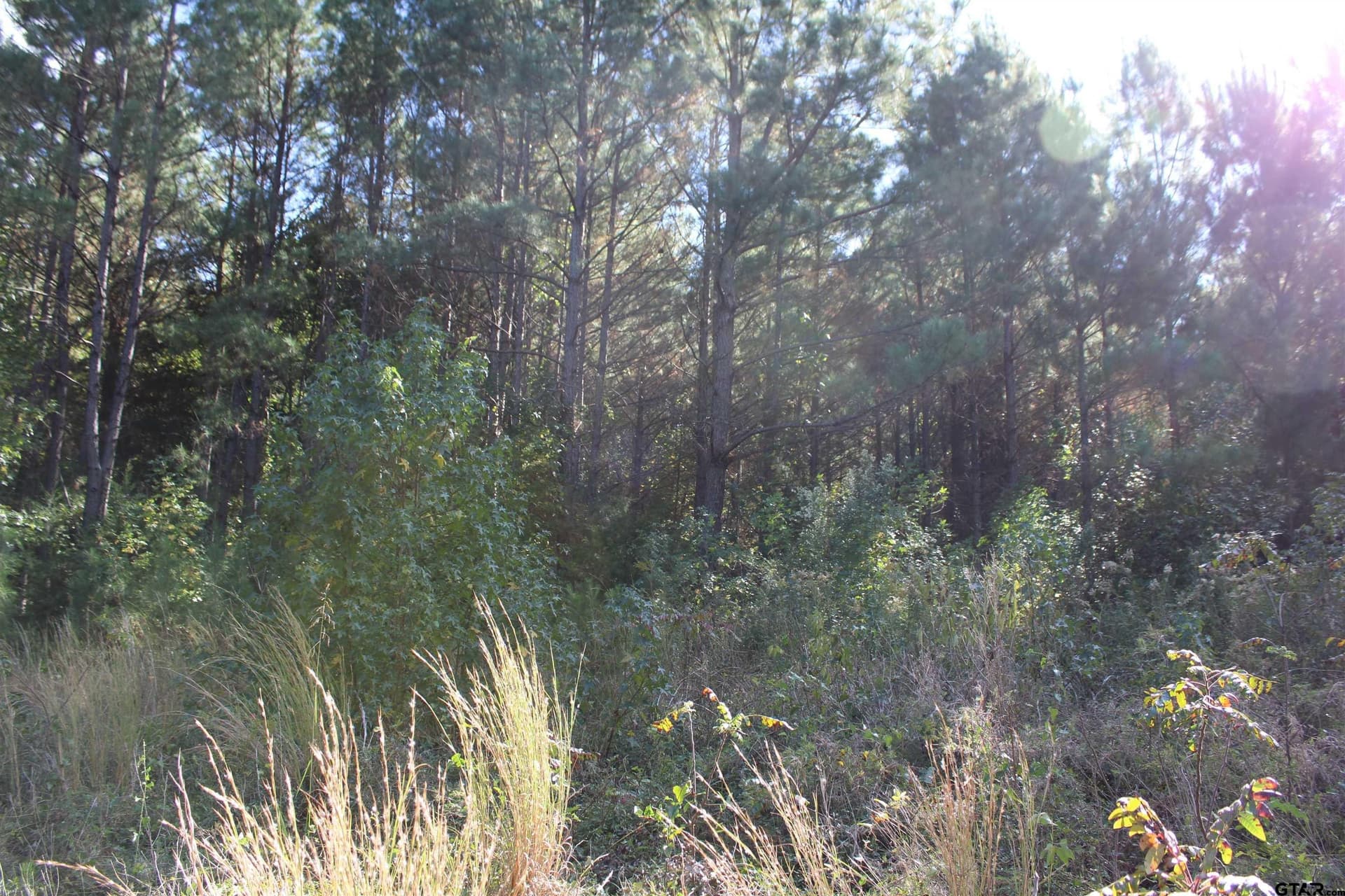 37.4 acres in Cherokee County - photo 12