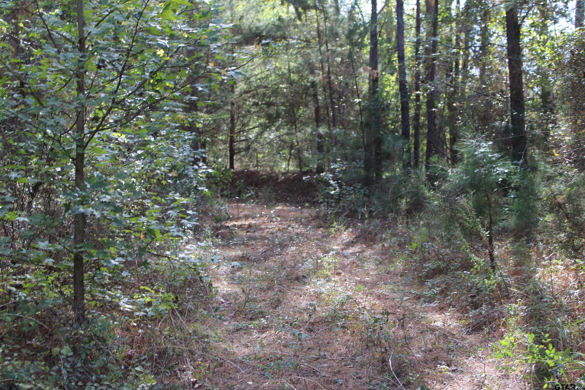 37.4 acres in Cherokee County - photo 3