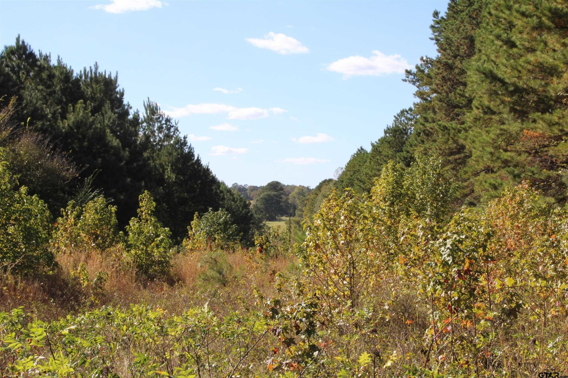 37.4 acres in Cherokee County - photo 4