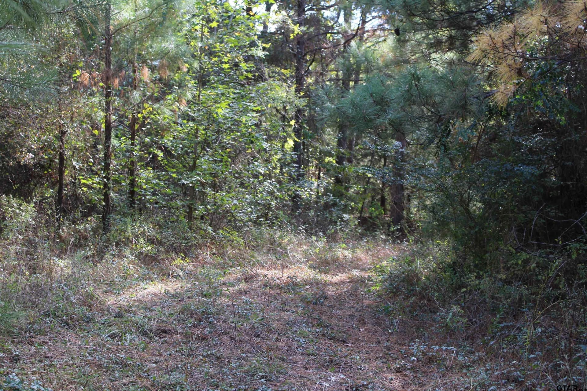 37.4 acres in Cherokee County - photo 6