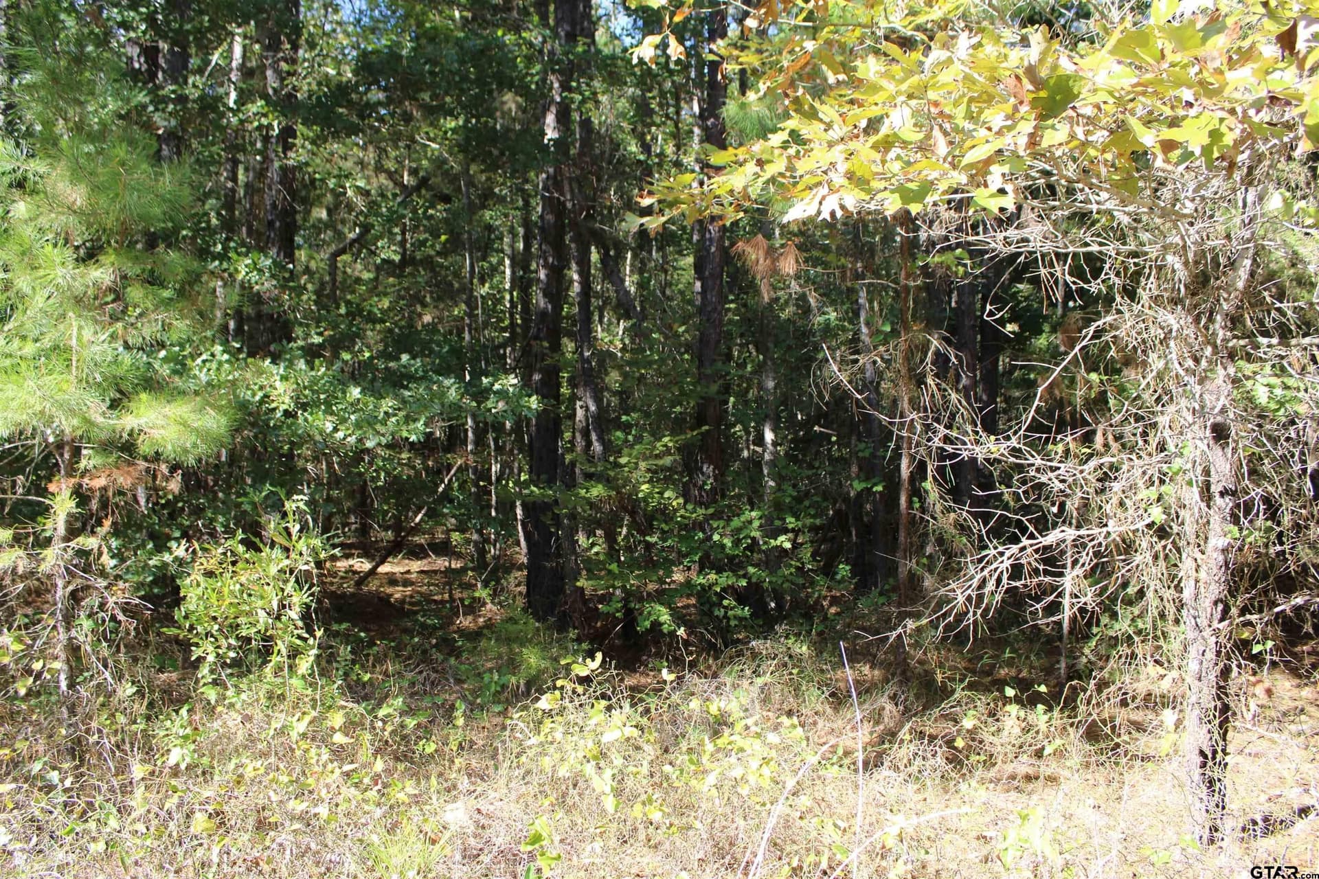 37.4 acres in Cherokee County - photo 9