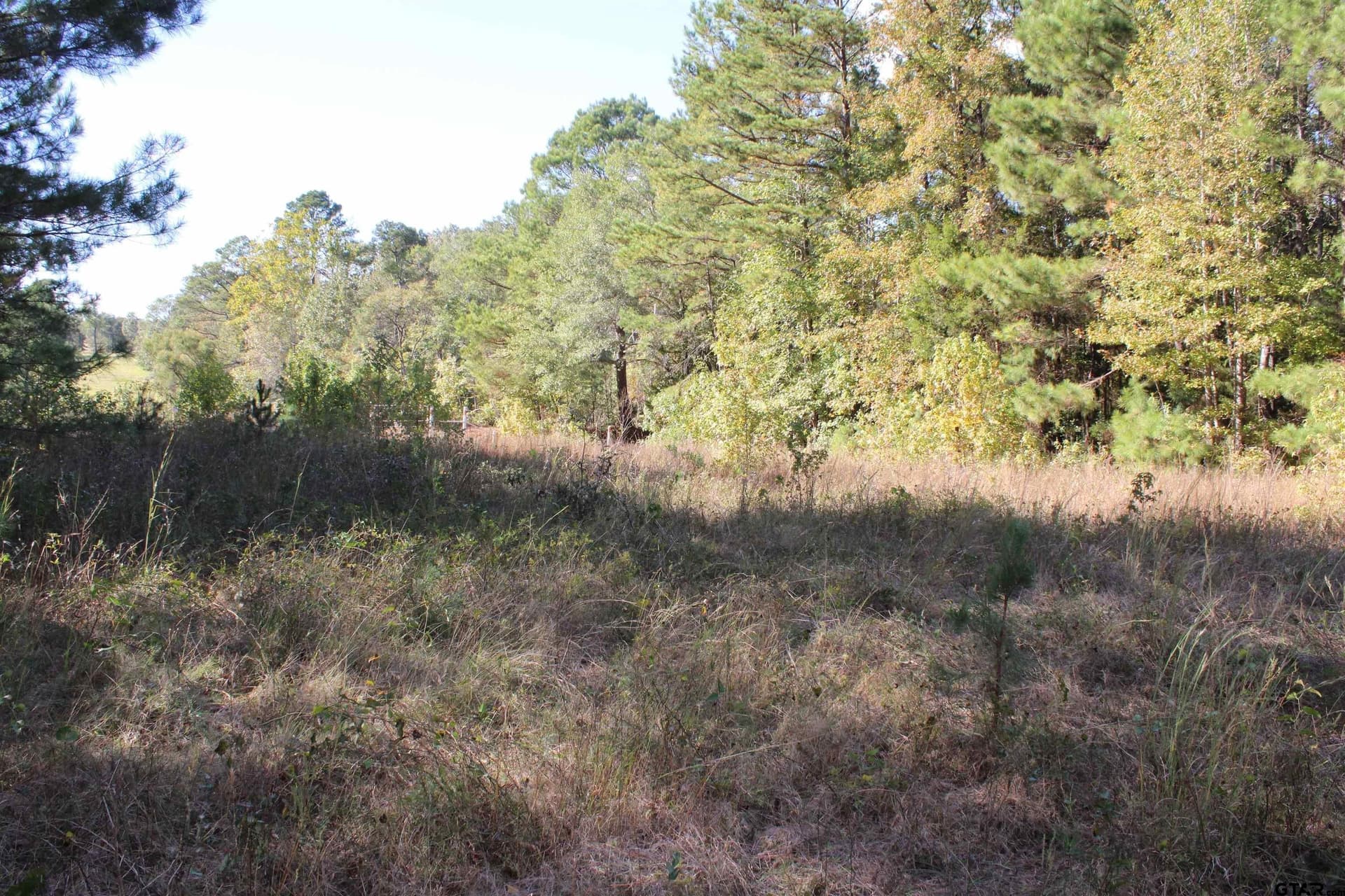 37.4 acres in Cherokee County - photo 2