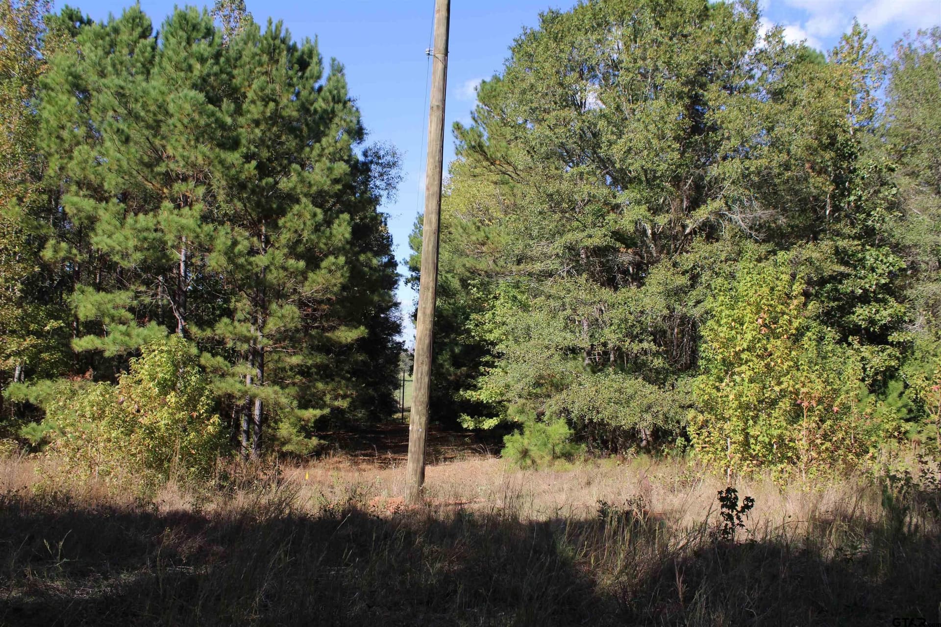 37.4 acres in Cherokee County - photo 7
