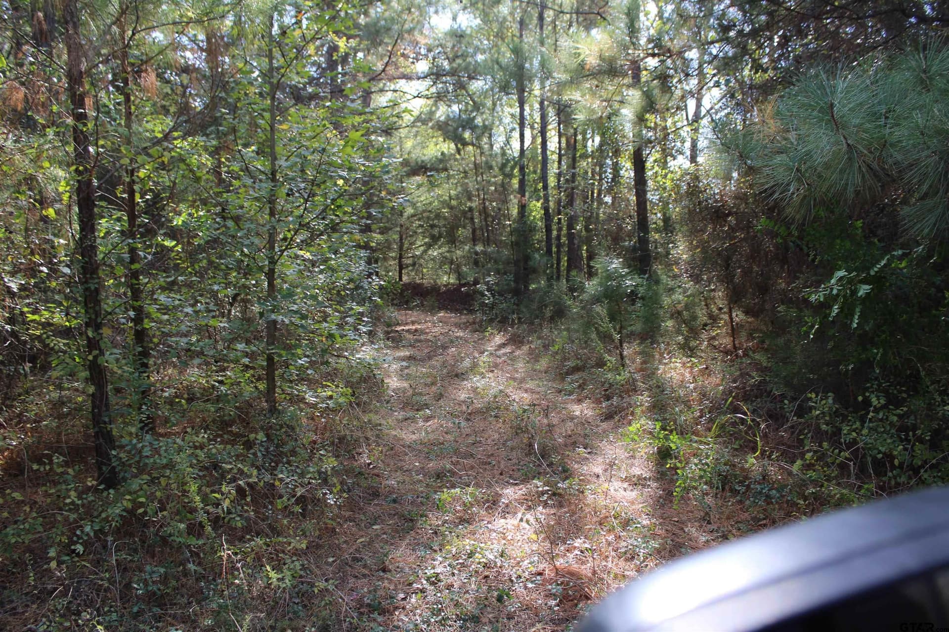 37.4 acres in Cherokee County - photo 5