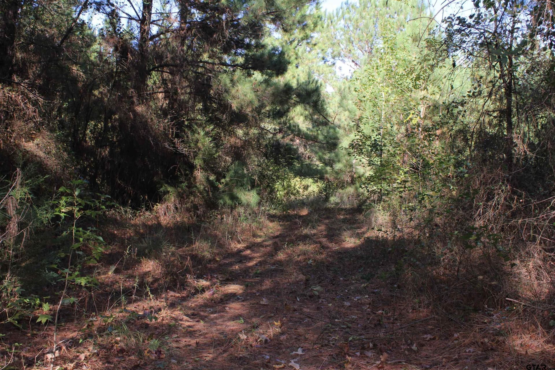 37.4 acres in Cherokee County - photo 17