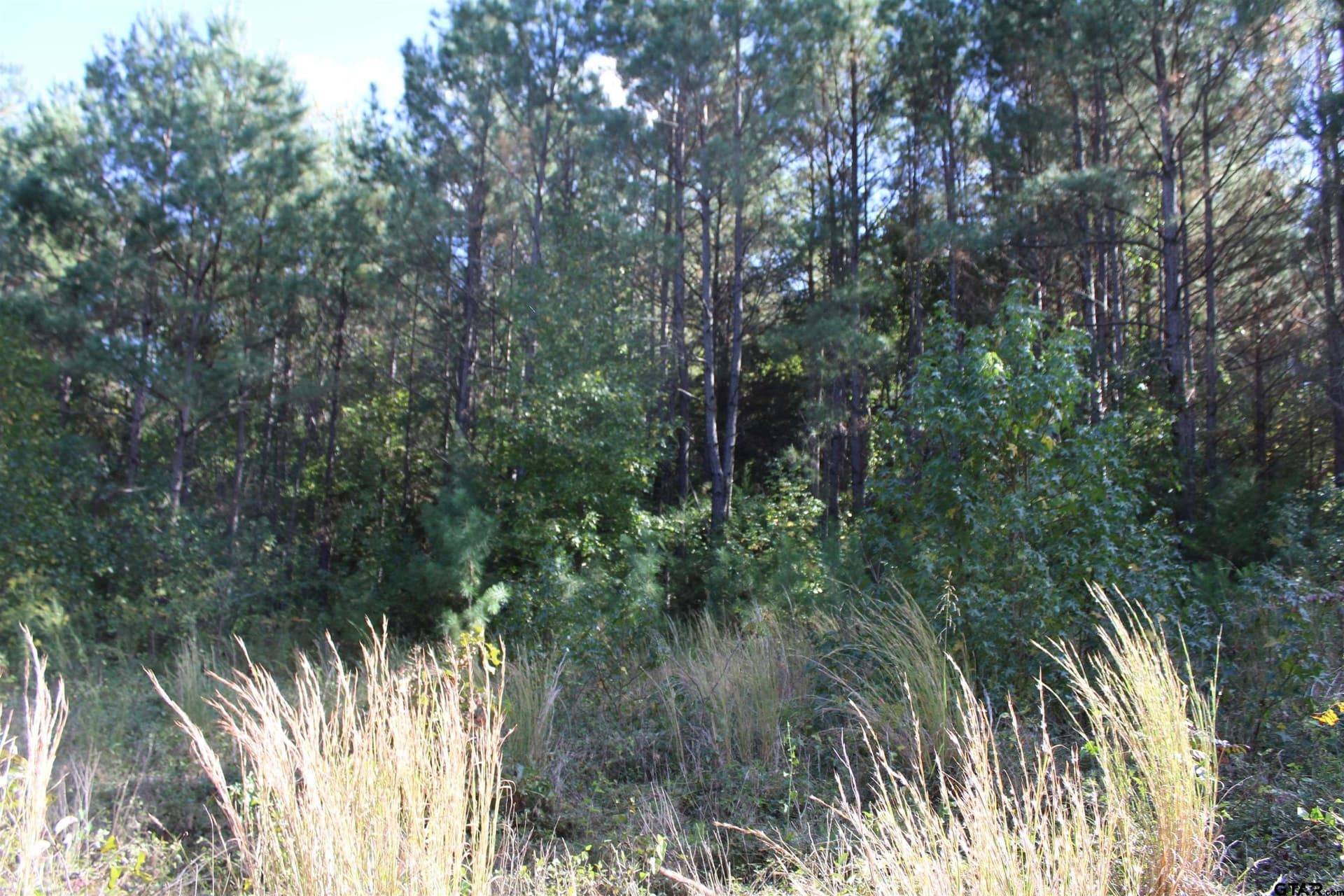 37.4 acres in Cherokee County - photo 11
