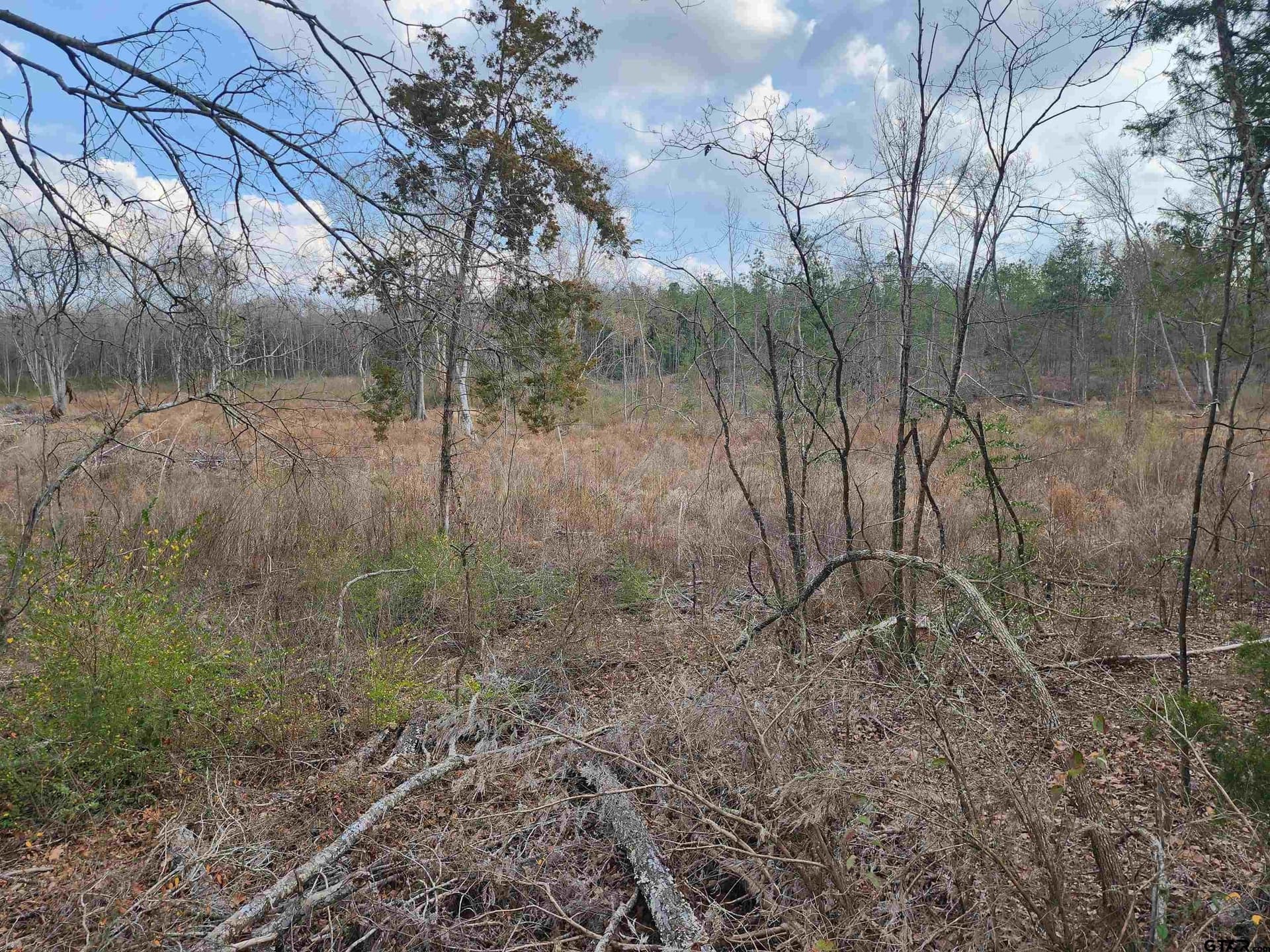 13.7 acres in Camp County - photo 2