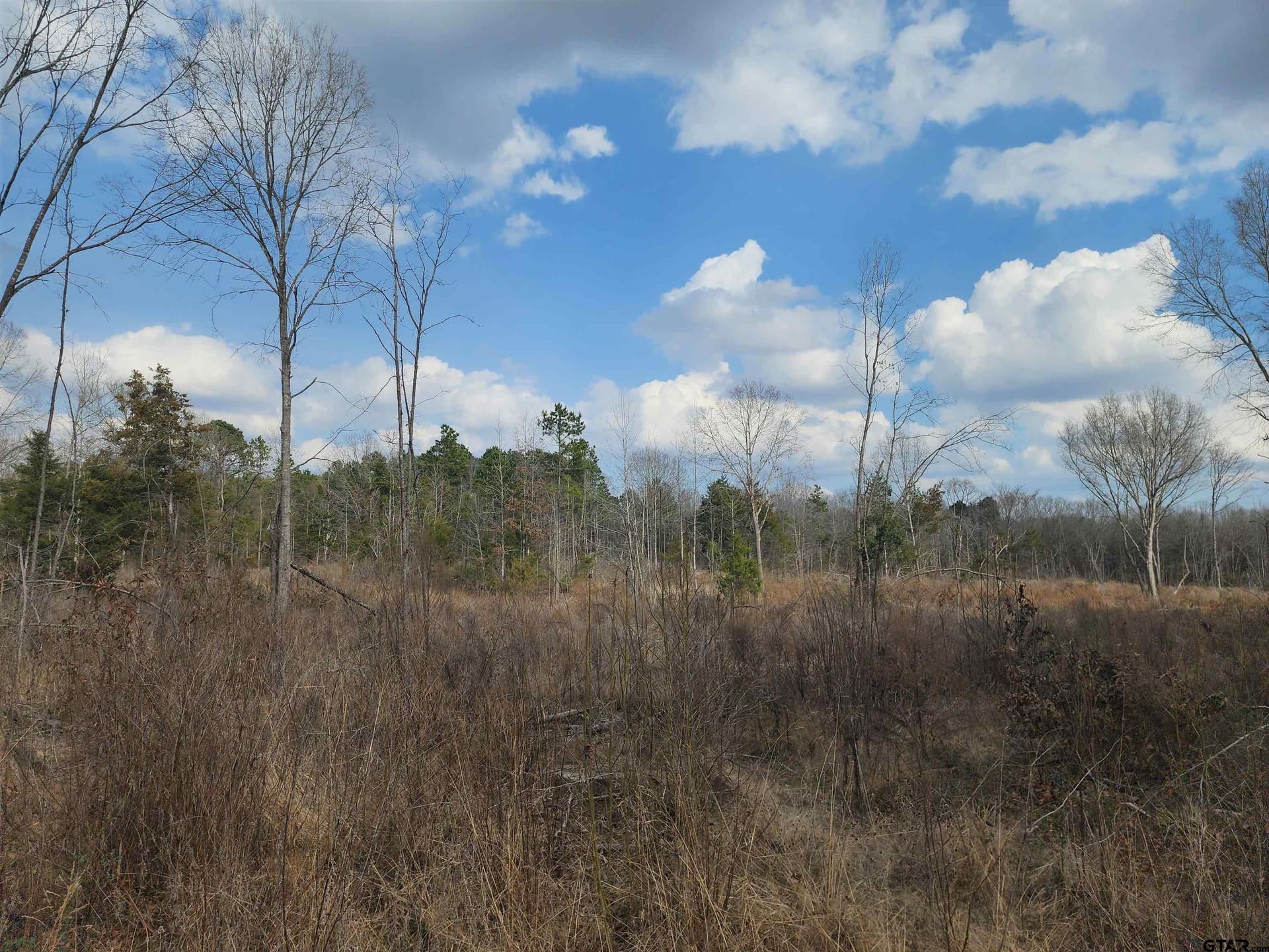 13.7 acres in Camp County - photo 3