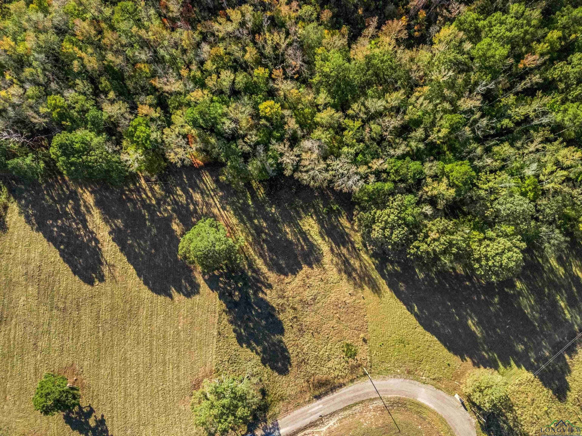 5.05 acres in Upshur County - photo 7