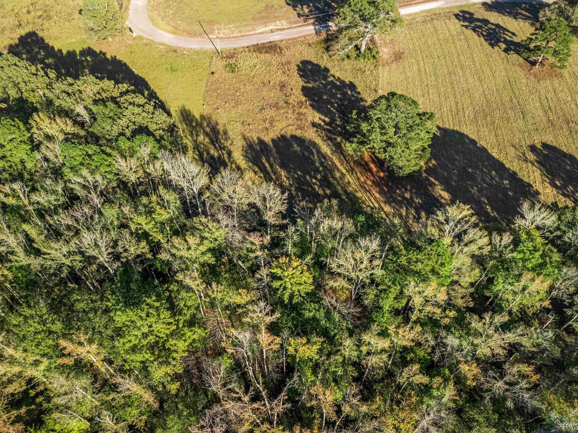 5.05 acres in Upshur County - photo 9