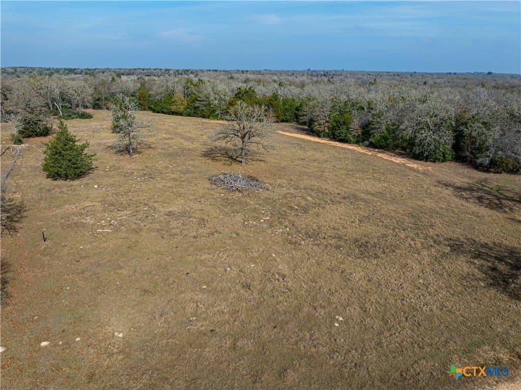 35.02 acres in Milam County - photo 9