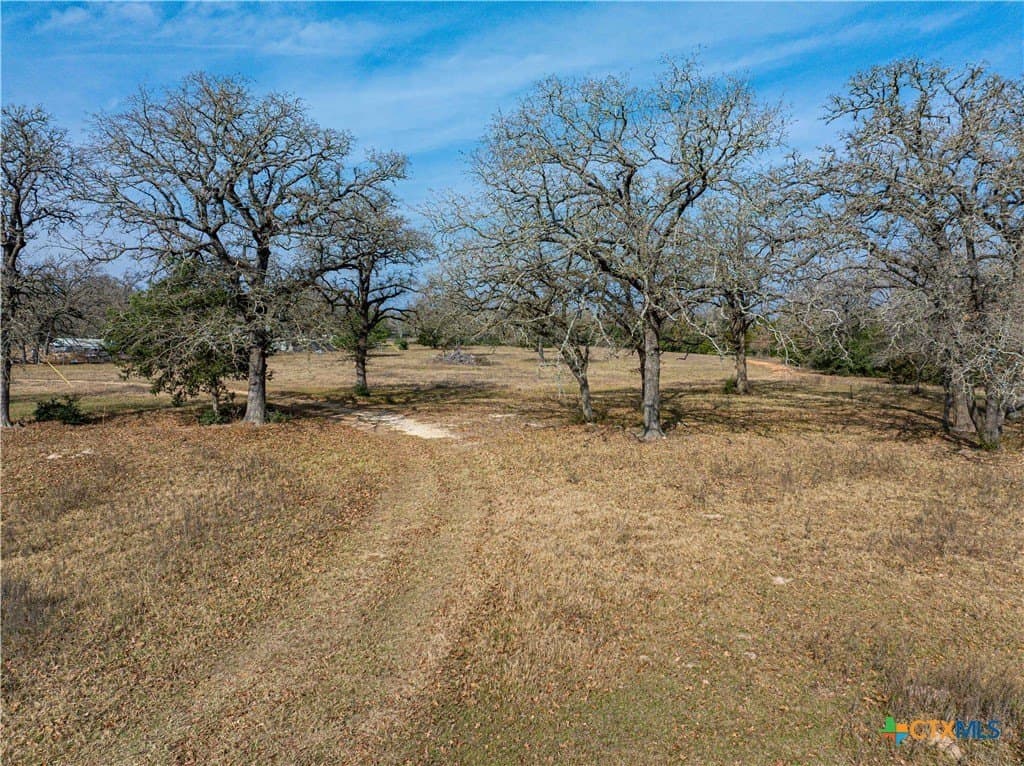 35.02 acres in Milam County - photo 10