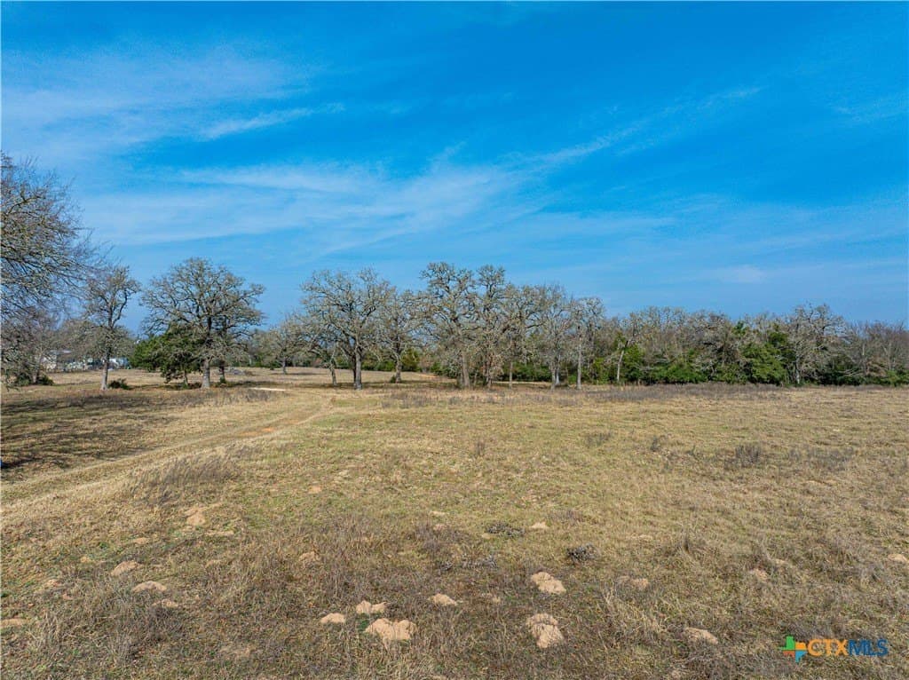 35.02 acres in Milam County - photo 6