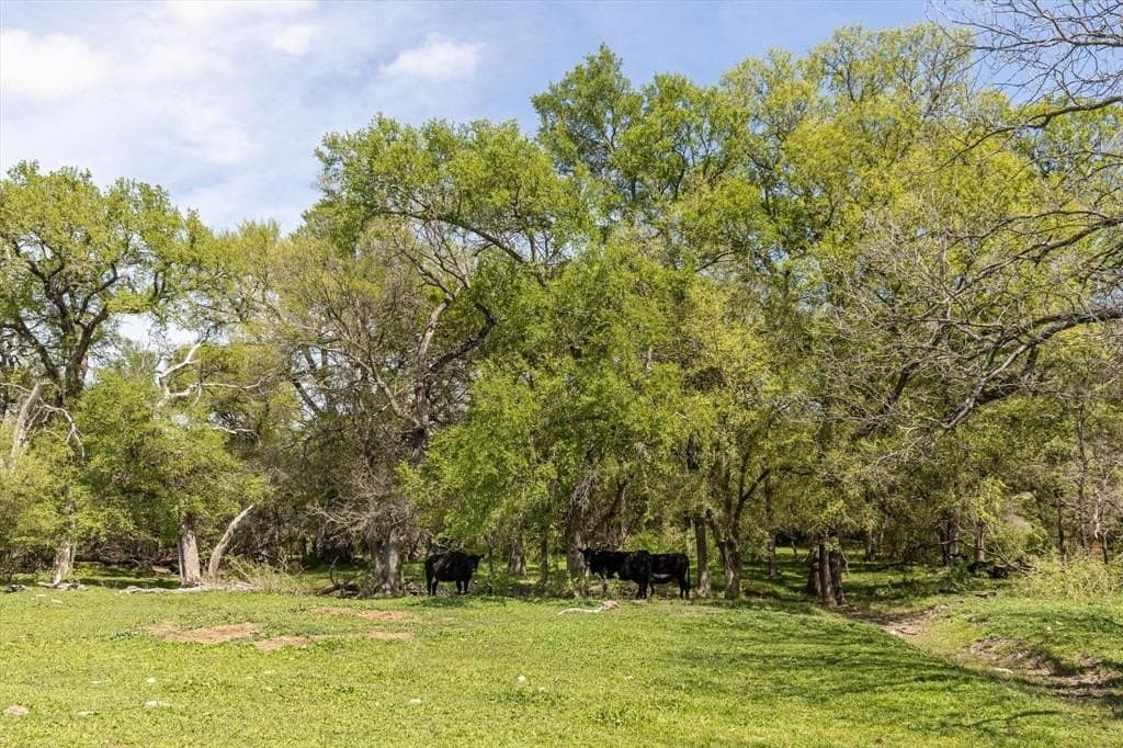 81.81 acres in Erath County - photo 14