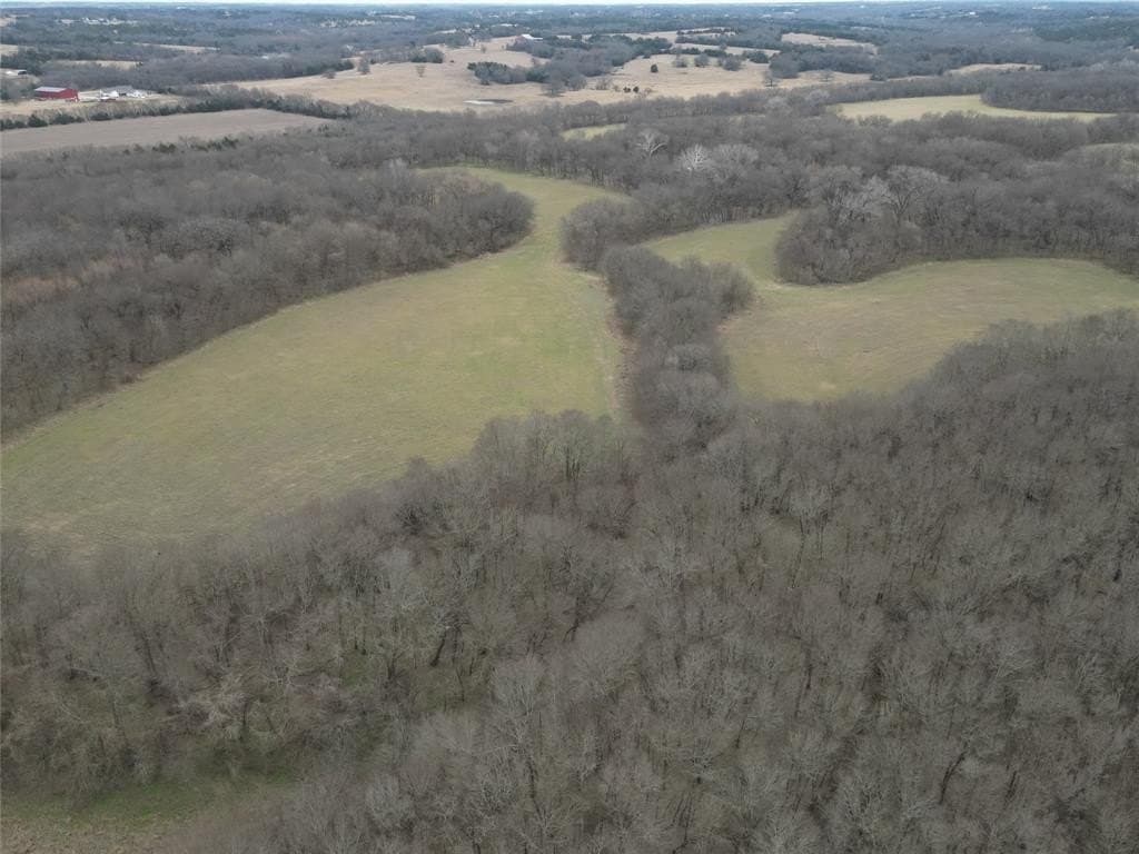 121 acres in Grayson County - photo 29