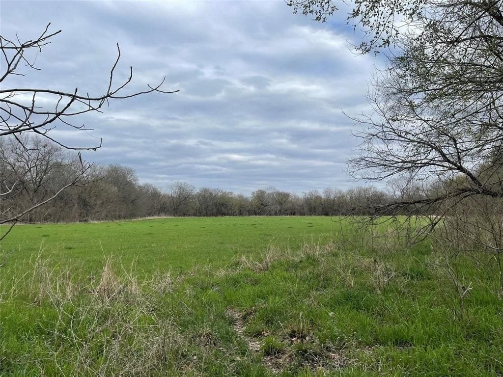 121 acres in Grayson County - photo 4