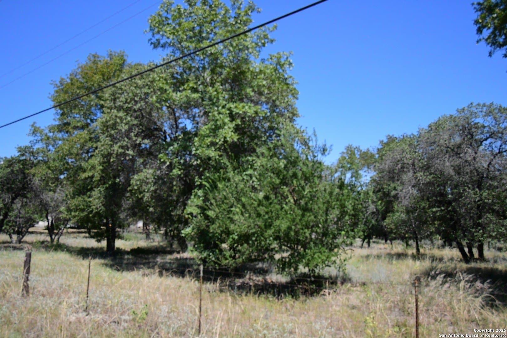 2 acres in Medina County - photo 5