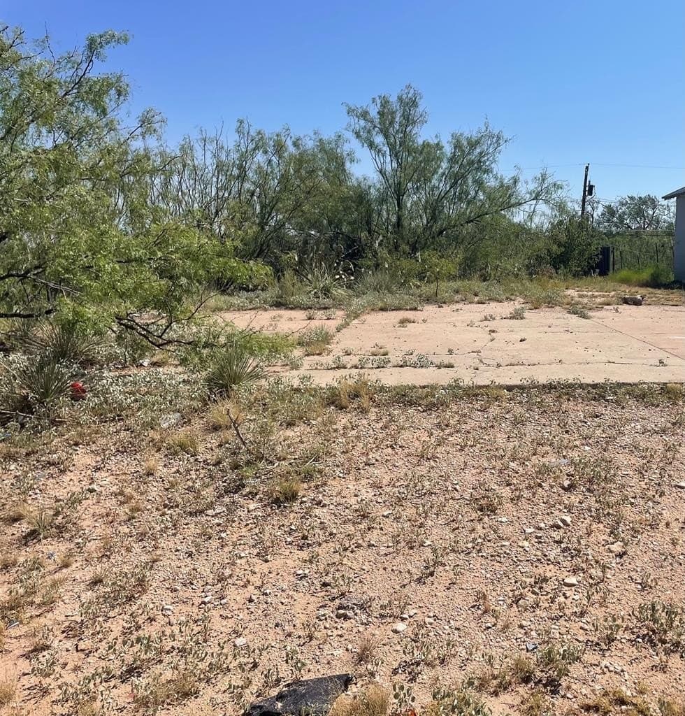 0.17 acres in Howard County - photo 7