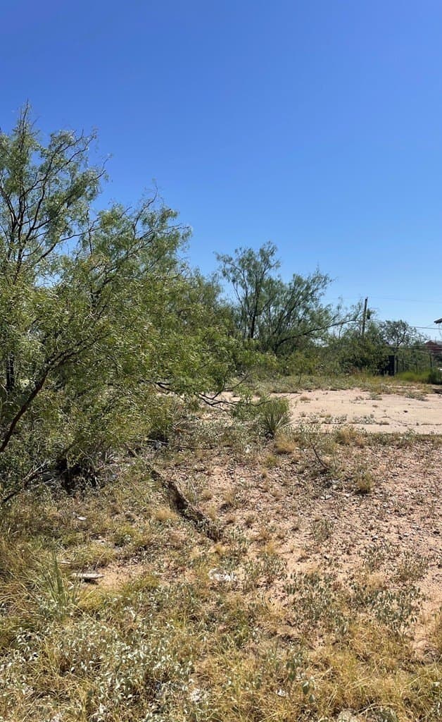 0.17 acres in Howard County - photo 2