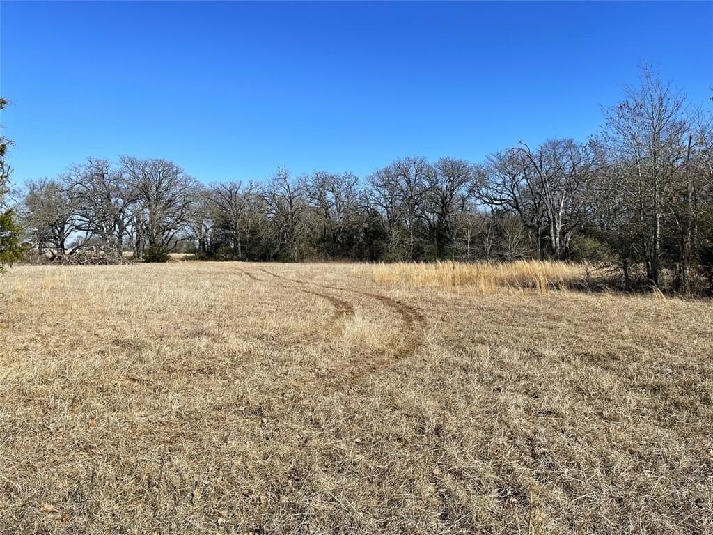 14.4 acres in Freestone County - photo 13